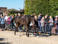 PN280925-95 - Len
